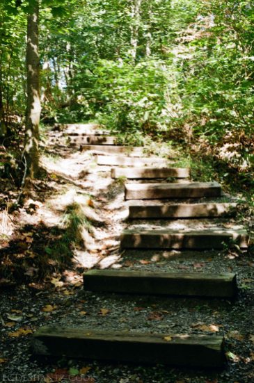 rocky steps, Buttermilk Falls, Kodak ColorPlus 200, Minolta SRT 102